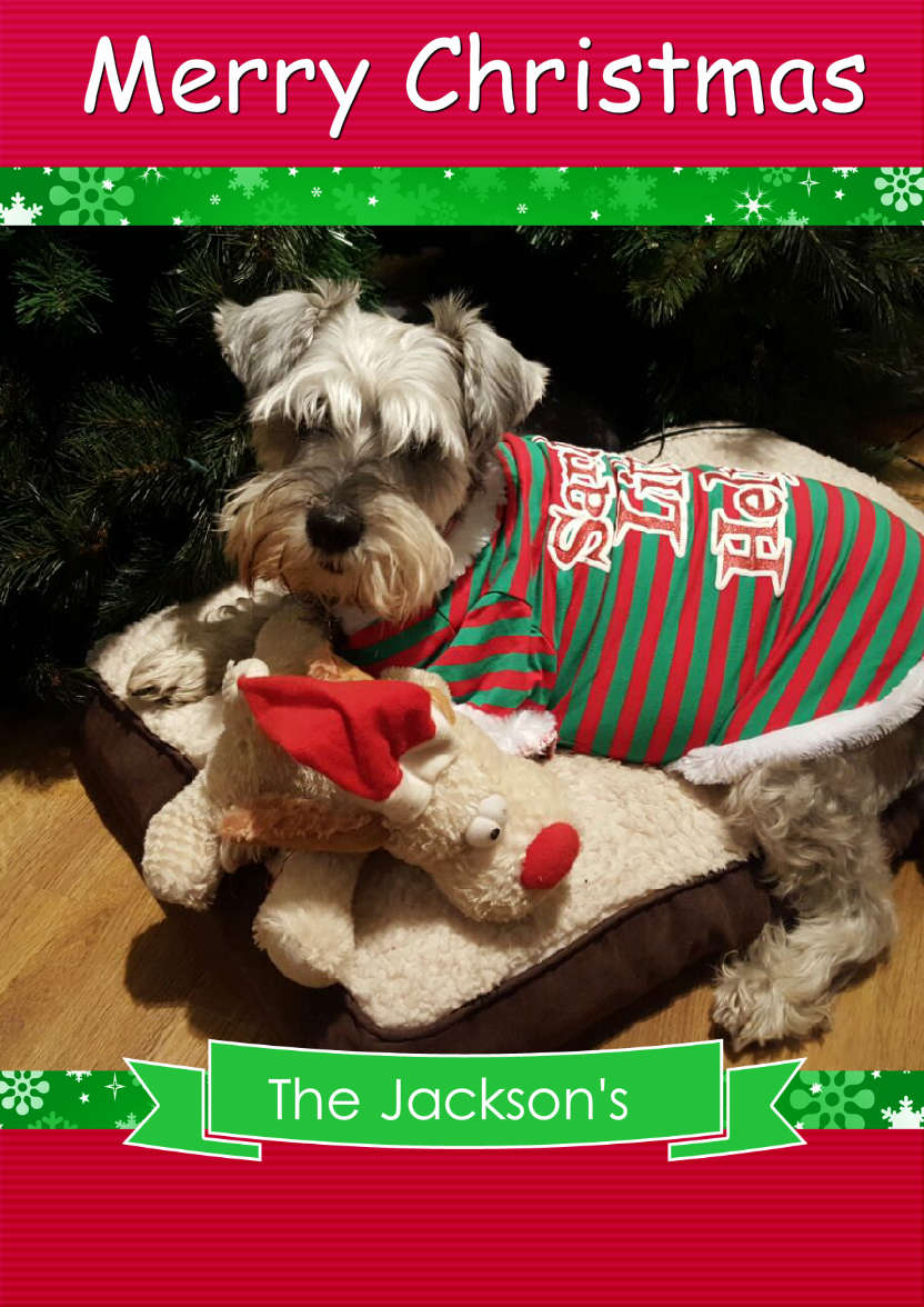 Christmas Frame Card - card made with Crafty Bob's Card Creator