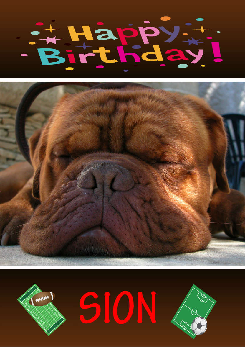 Sleeping Dog Card Front - card made with Crafty Bob's Card Creator