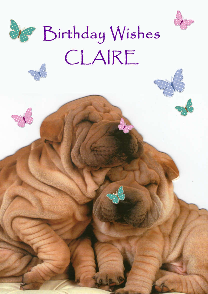Chinese Shar-pei Cuddle Card - card made with Crafty Bob's Card Creator