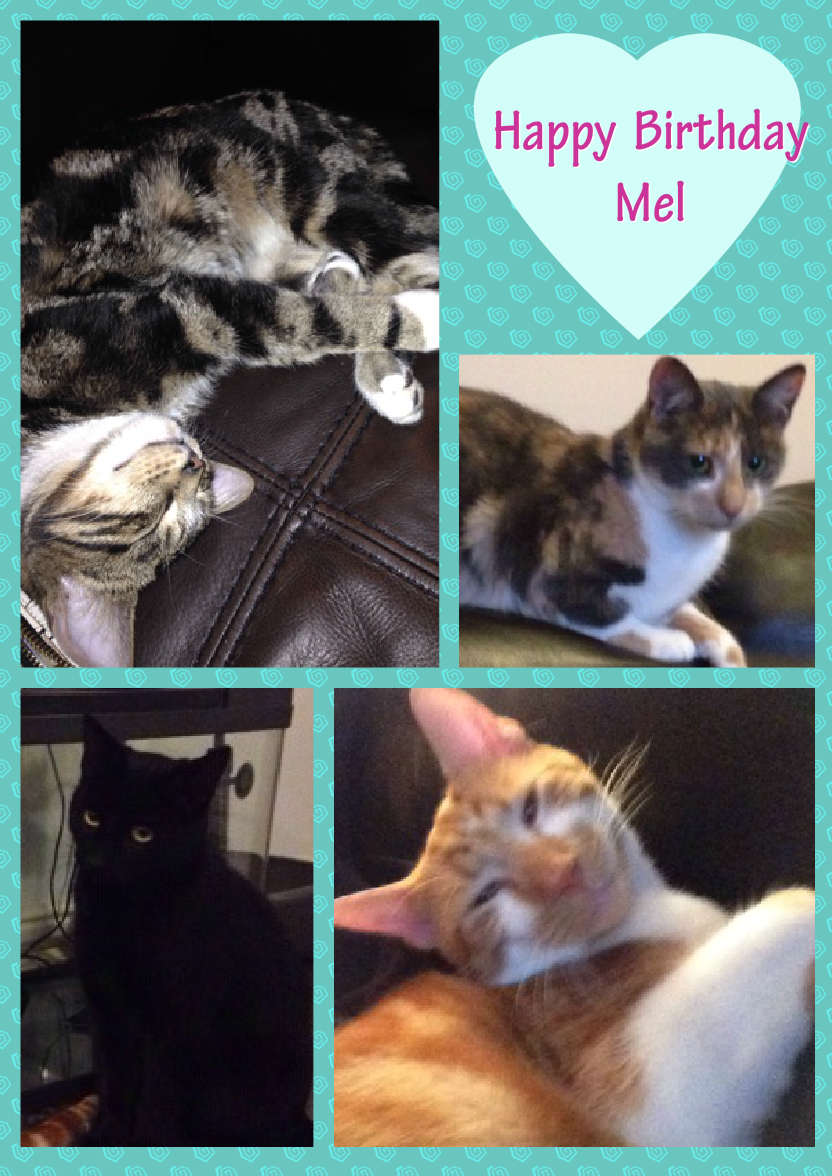 Male Multi-frame Photo Card - card made with Crafty Bob's Card Creator