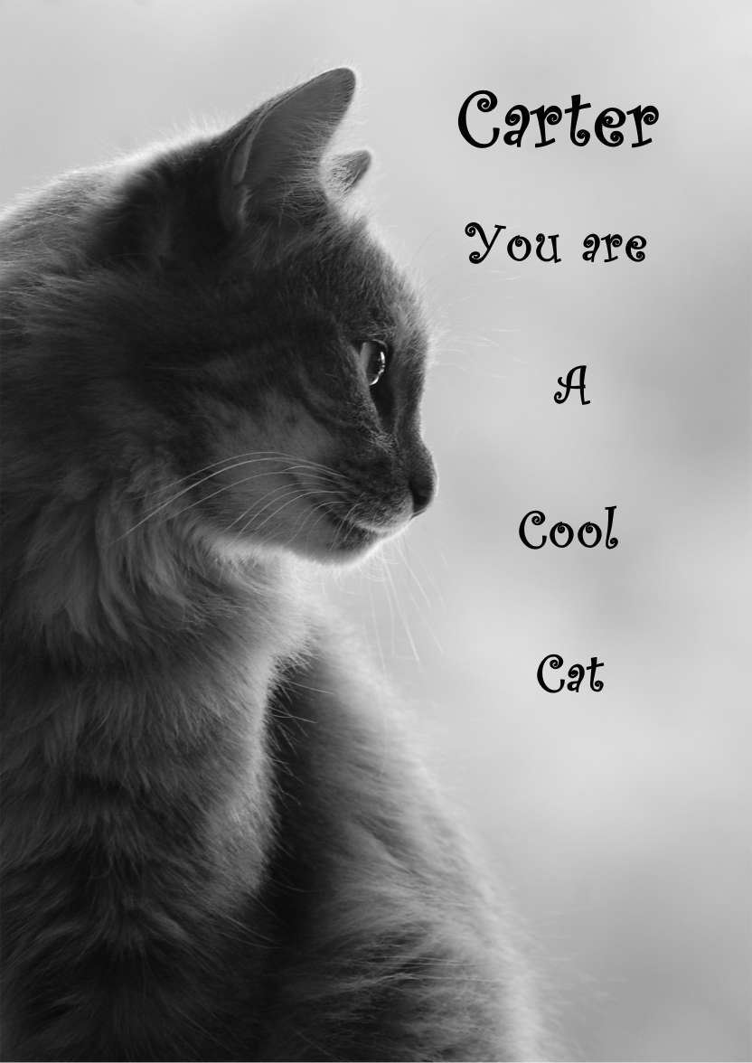 Cat Profile Card - card made with Crafty Bob's Card Creator