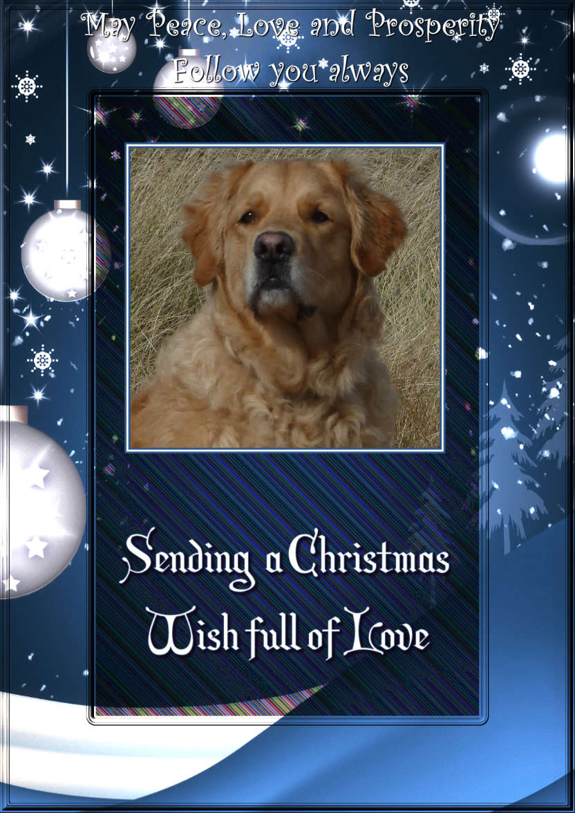 Sending a Christmas Wish Photo Card - card made with Crafty Bob's Card Creator