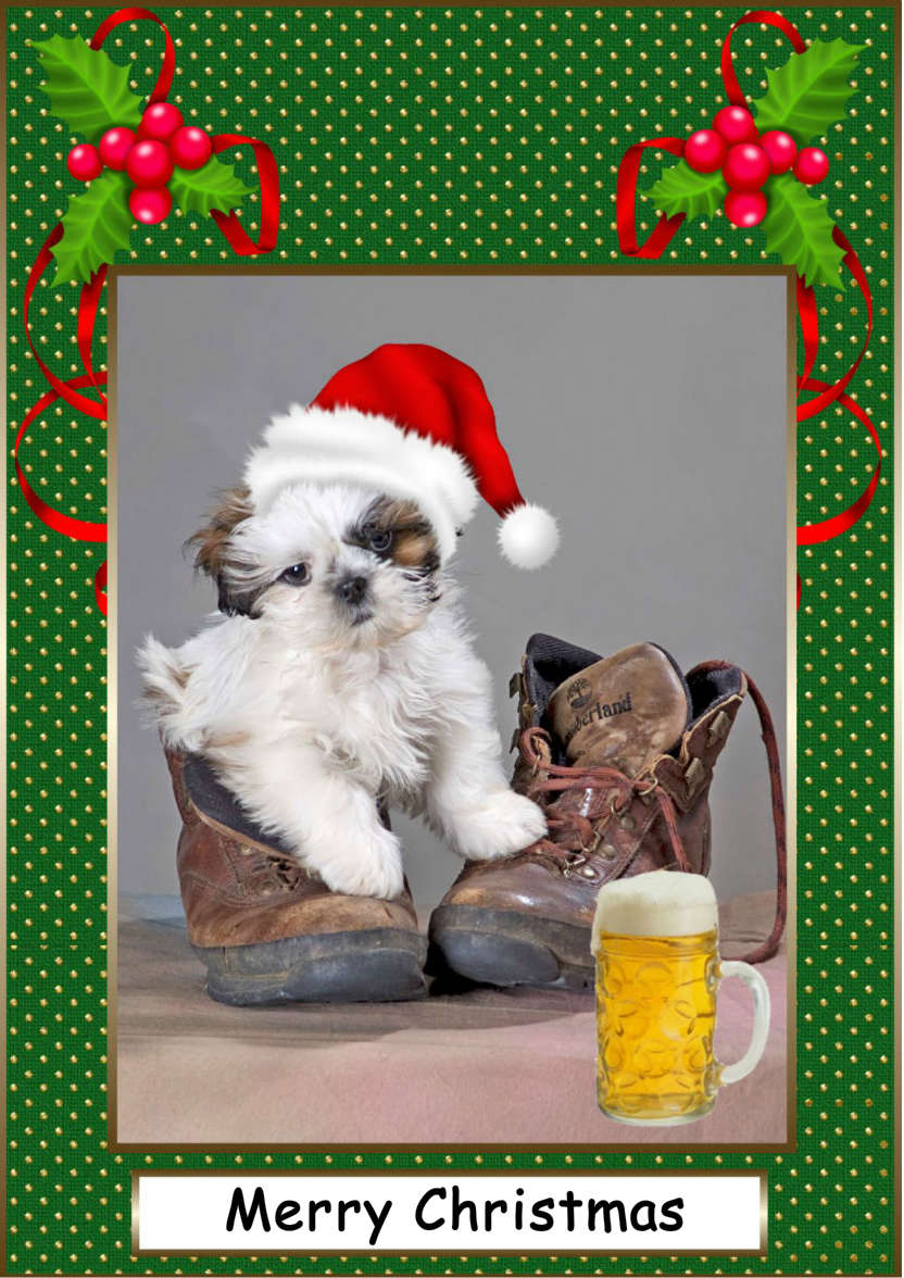 Pup in Boot - card made with Crafty Bob's Card Creator