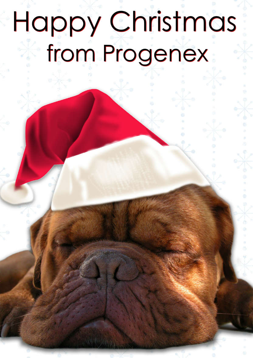 Sleeping Dog Christmas Card - card made with Crafty Bob's Card Creator