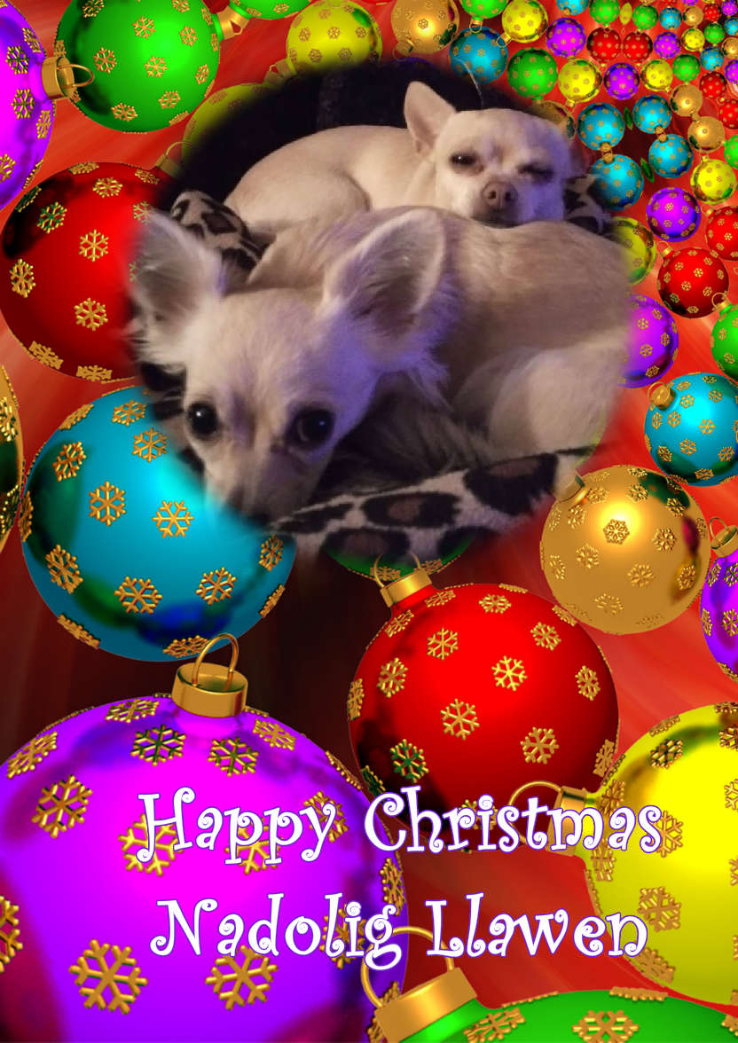 Christmas Baubles Photo Card - card made with Crafty Bob's Card Creator