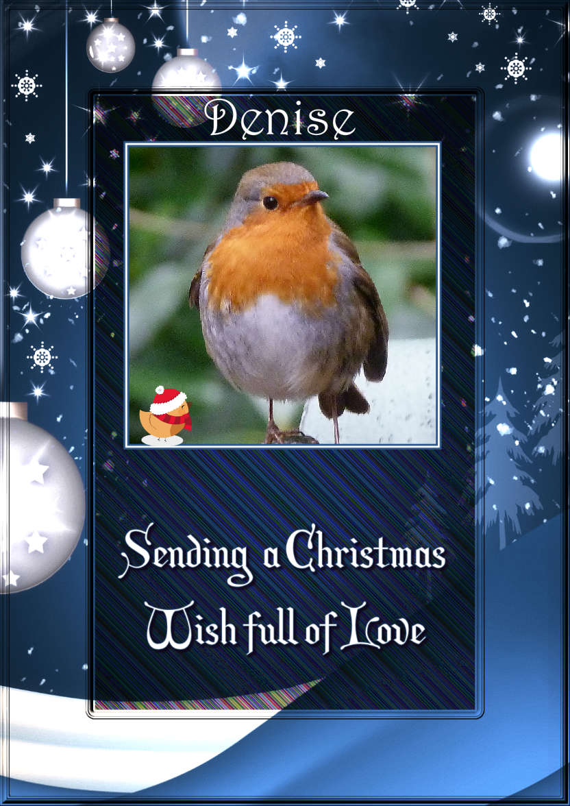 Sending a Christmas Wish Photo Card - card made with Crafty Bob's Card Creator