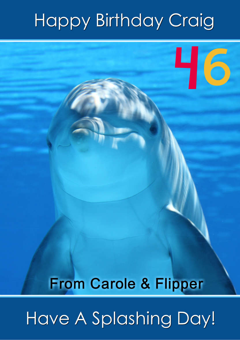 Delightful Dolphin - card made with Crafty Bob's Card Creator