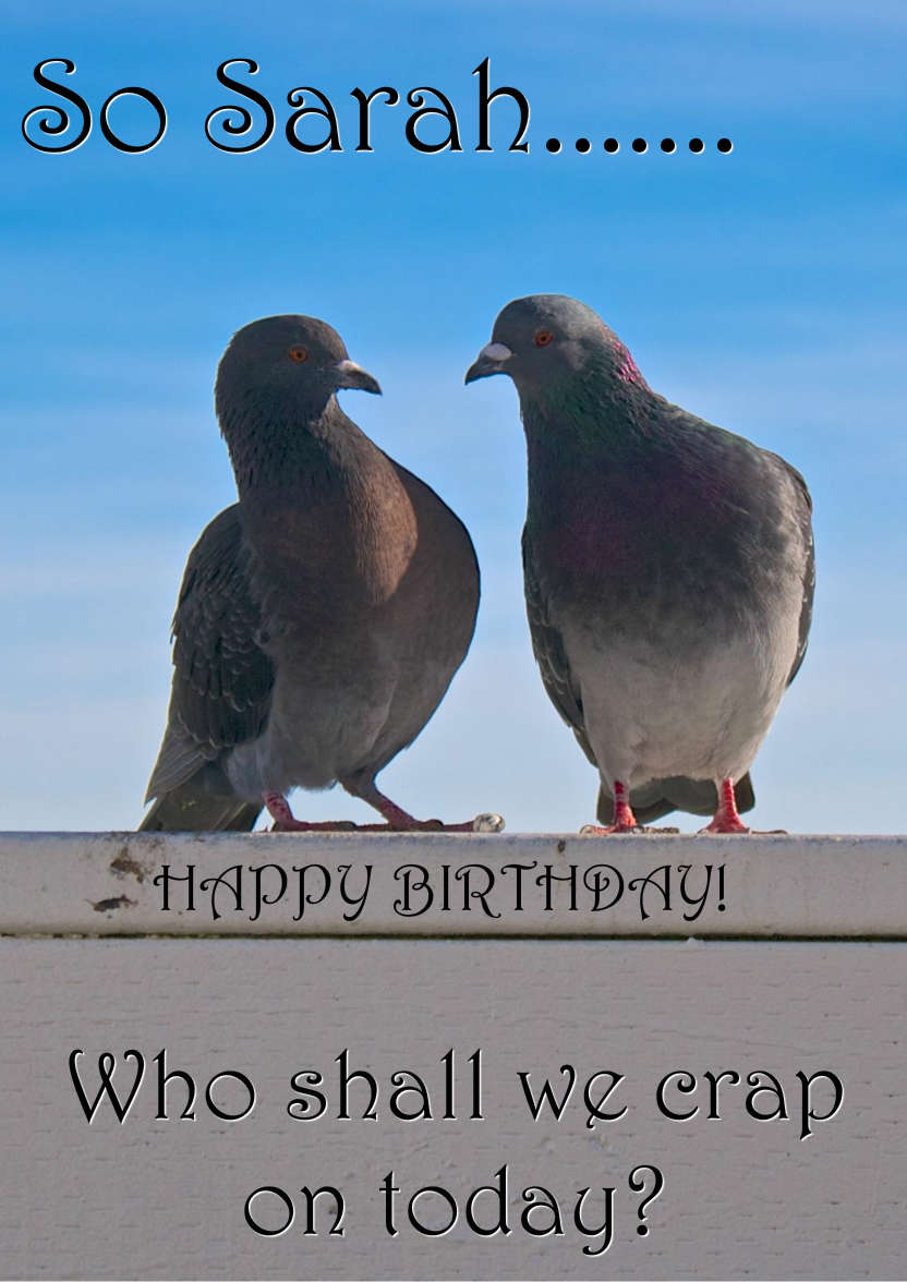 Pigeon Plans Humorous Card Front - card made with Crafty Bob's Card Creator