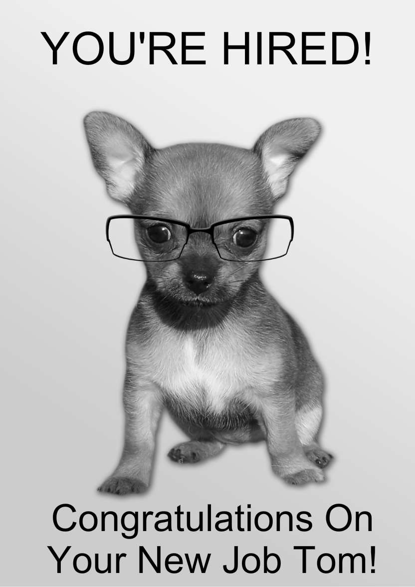 Chihuahua Puppy Card - card made with Crafty Bob's Card Creator