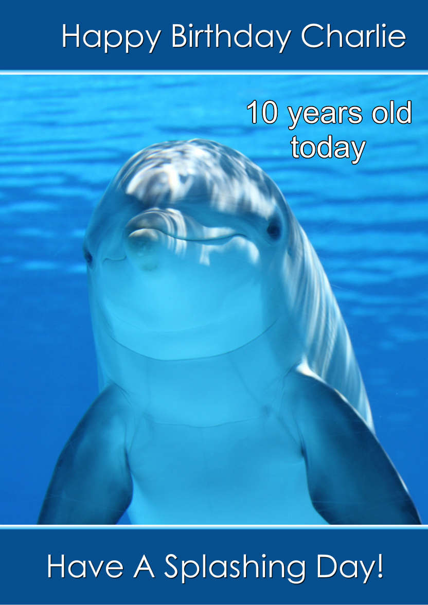 Delightful Dolphin - card made with Crafty Bob's Card Creator
