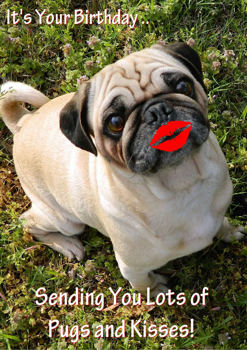 Pugs and Kisses Cute Card Front - card made with Crafty Bob's Card Creator