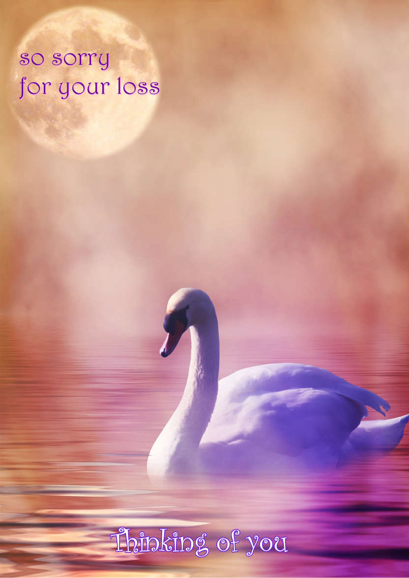 Stunning Swan Card - card made with Crafty Bob's Card Creator