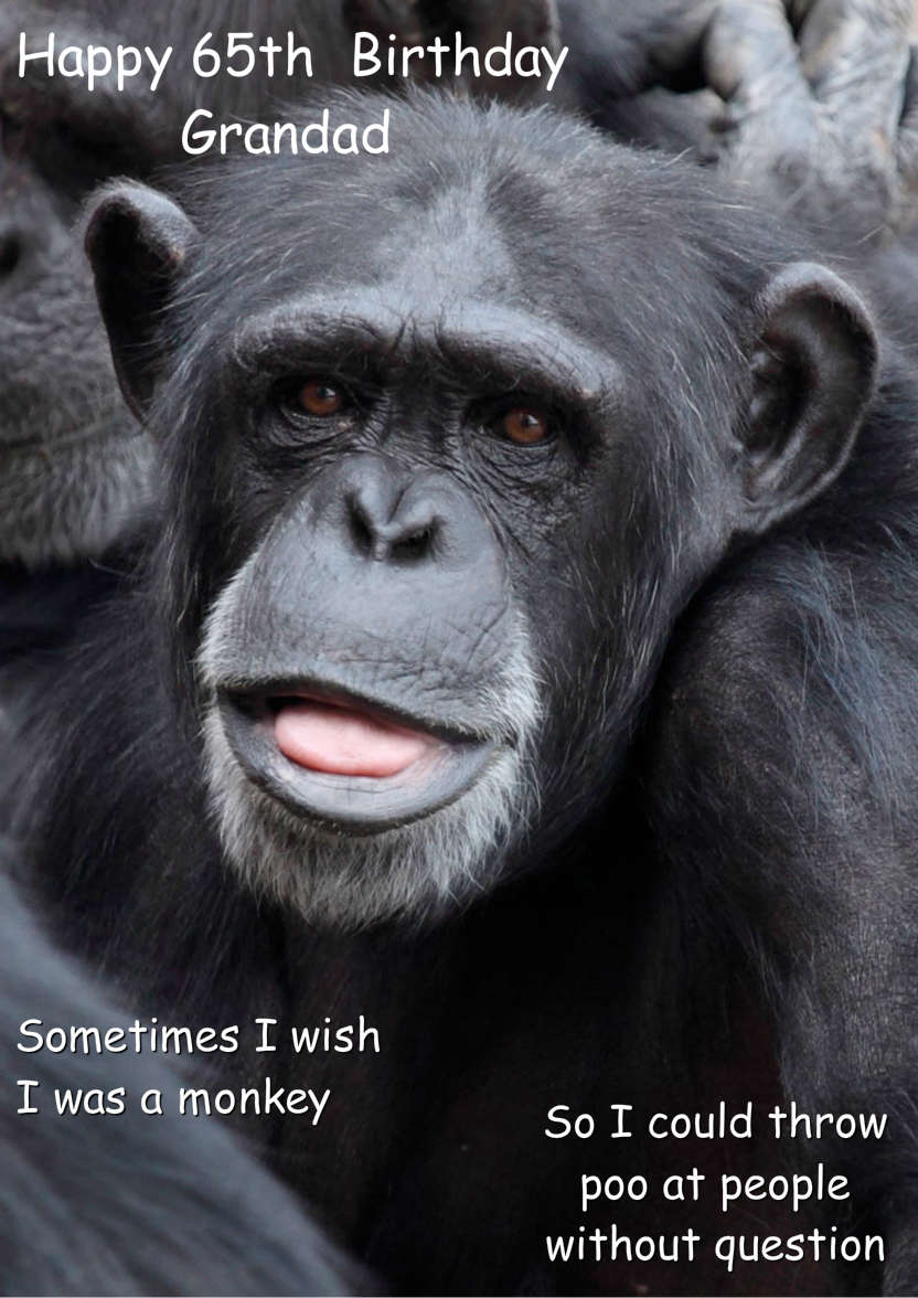 Cheeky Monkey Humorous Card Front - card made with Crafty Bob's Card Creator