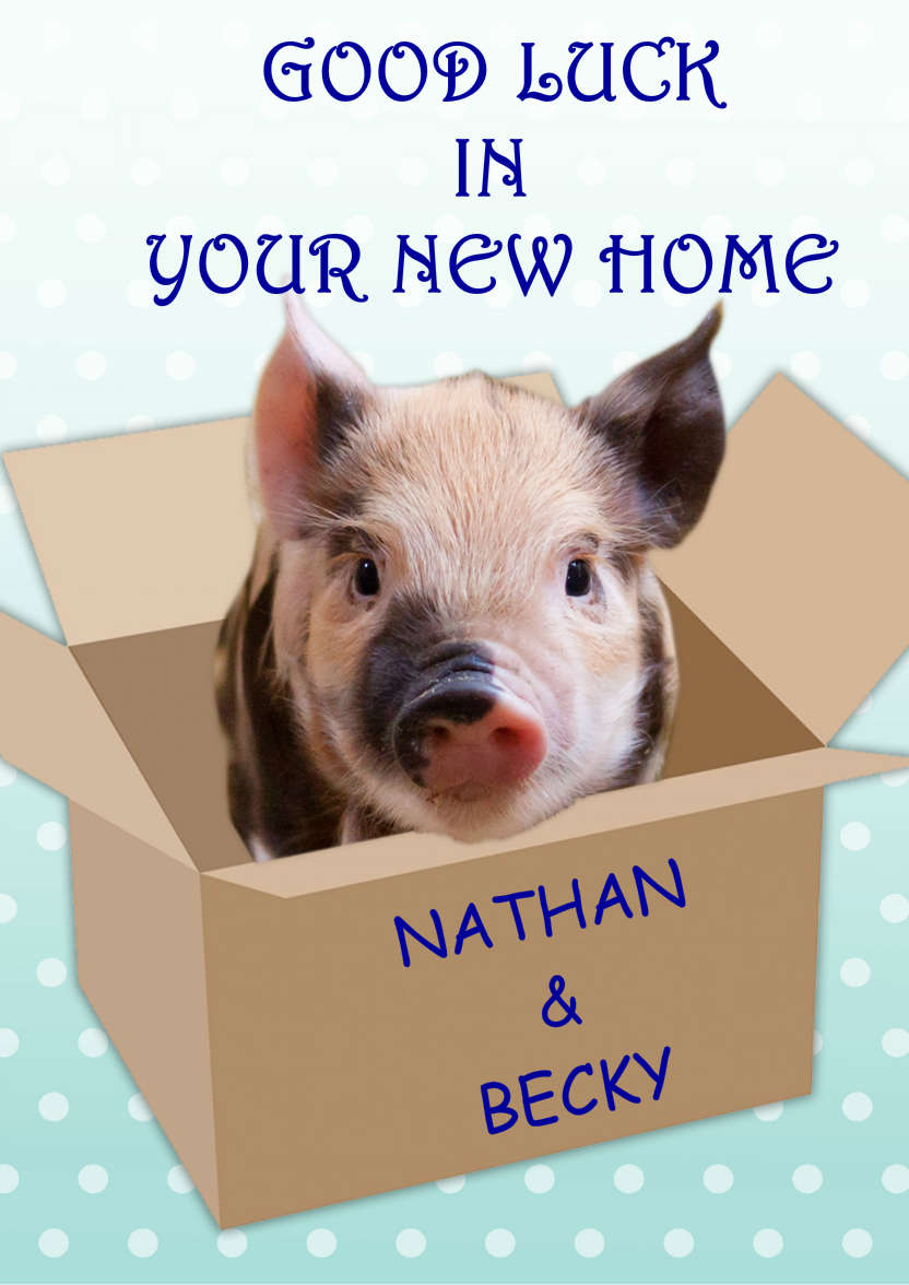 Cute Pig New Home Card - card made with Crafty Bob's Card Creator