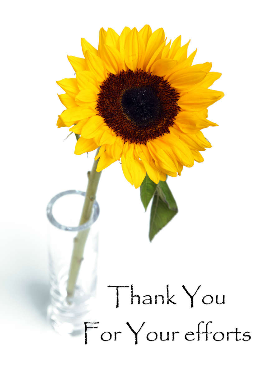 Solitary Sunflower Card Front - card made with Crafty Bob's Card Creator