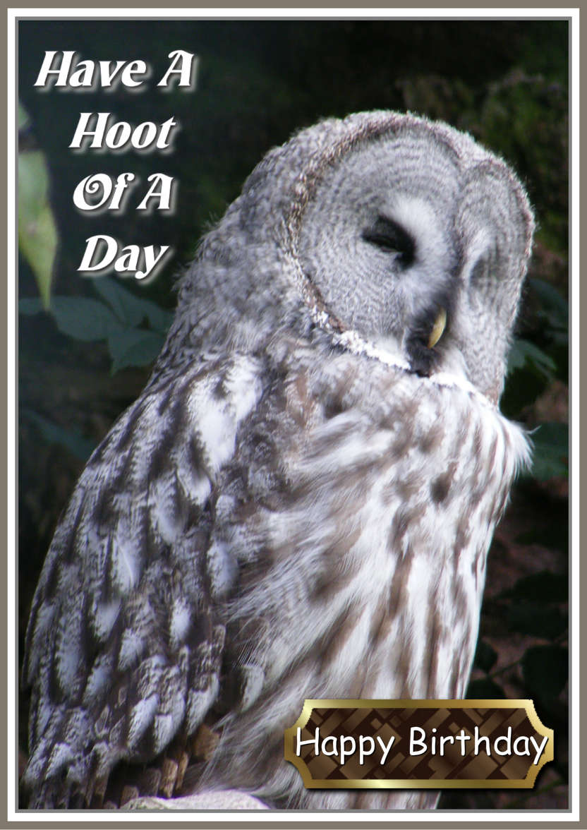 Have a Hoot of a Day - card made with Crafty Bob's Card Creator