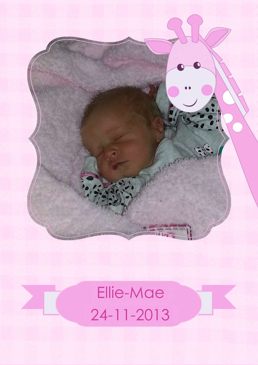 Baby Girl Giraffe Photo Card - card made with Crafty Bob's Card Creator