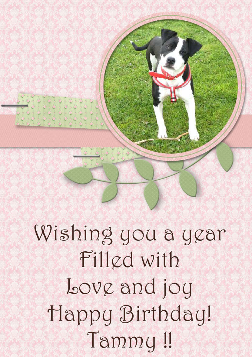 Scrapbook Style Frame Photo Card - card made with Crafty Bob's Card Creator