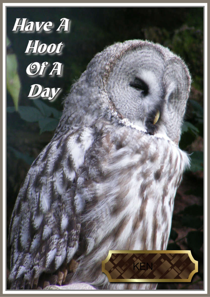 Have a Hoot of a Day - card made with Crafty Bob's Card Creator