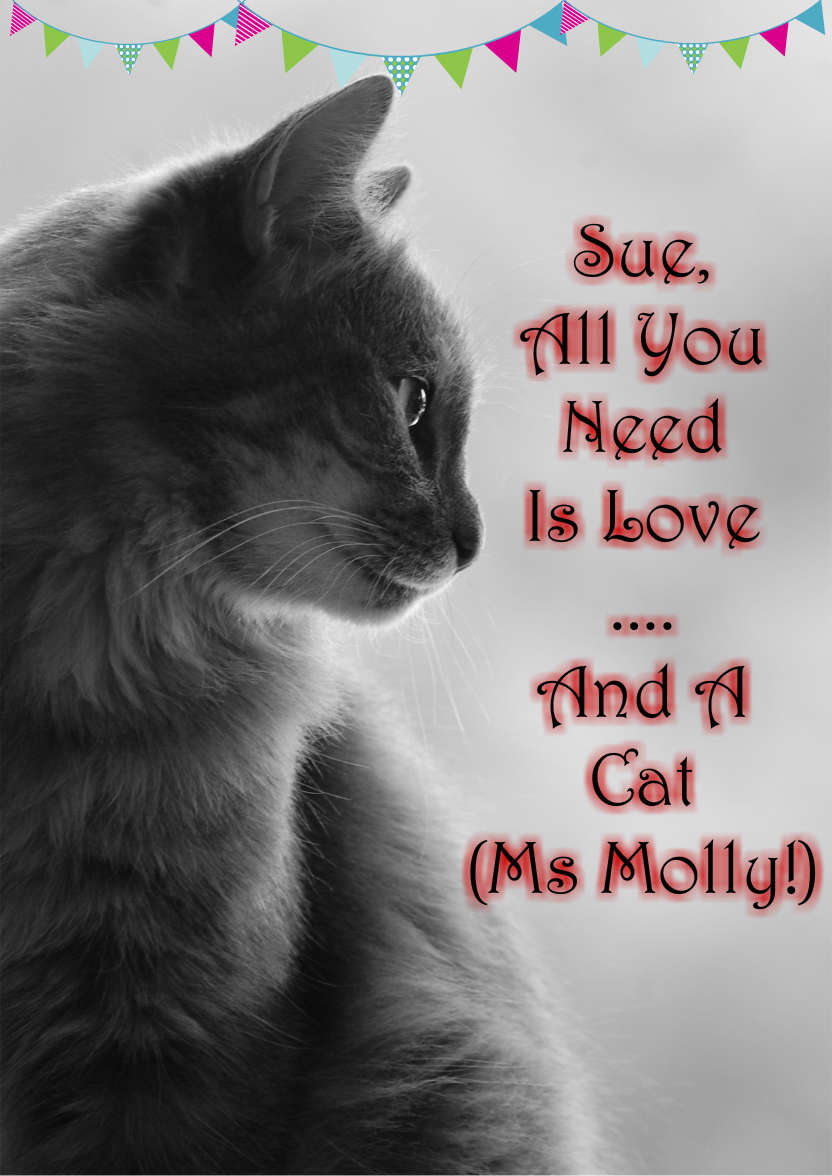 Cat Profile Card - card made with Crafty Bob's Card Creator