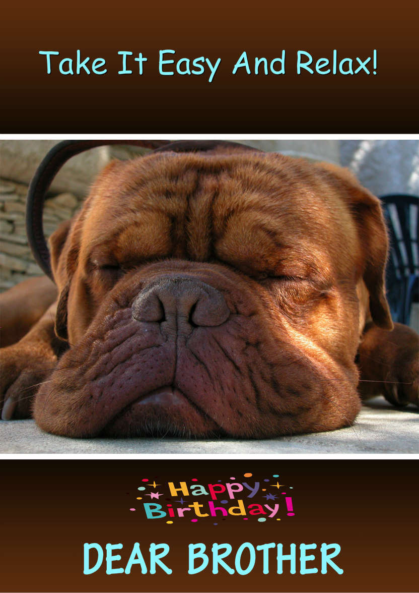 Sleeping Dog Card Front - card made with Crafty Bob's Card Creator