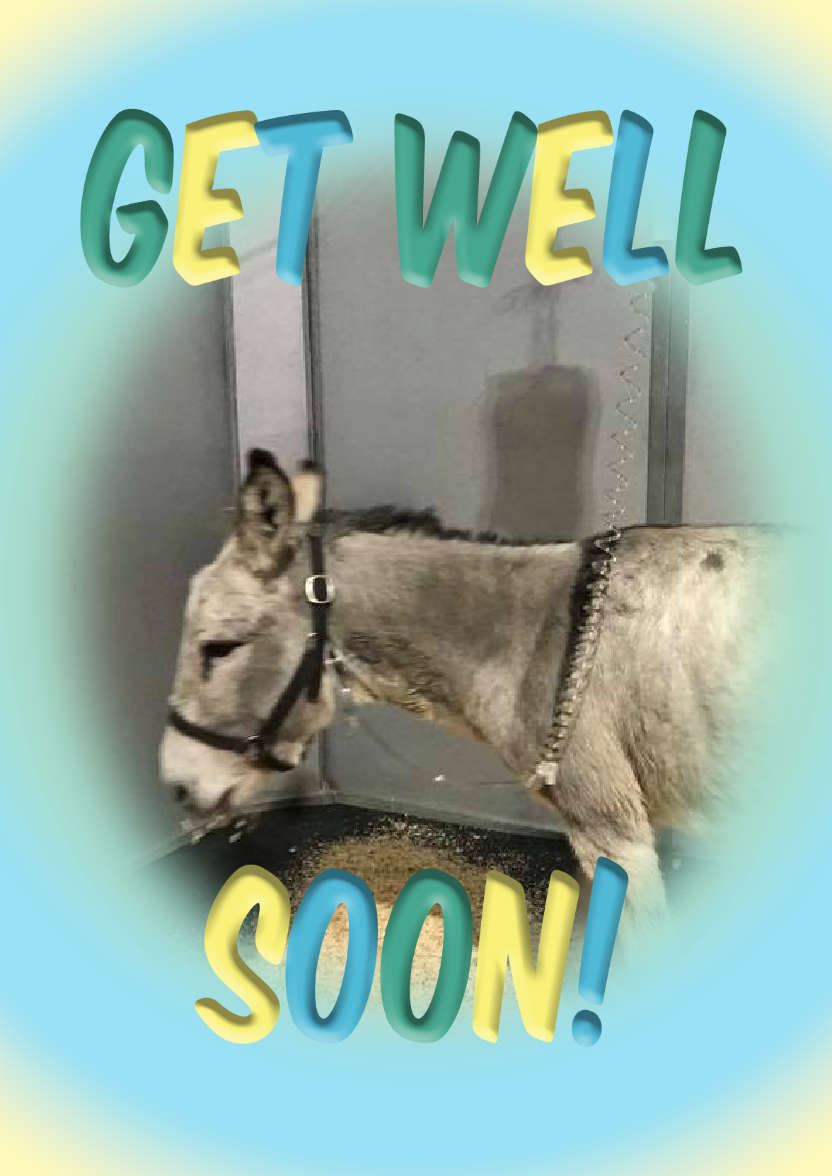 Get Well Soon Frame Photo Card - card made with Crafty Bob's Card Creator