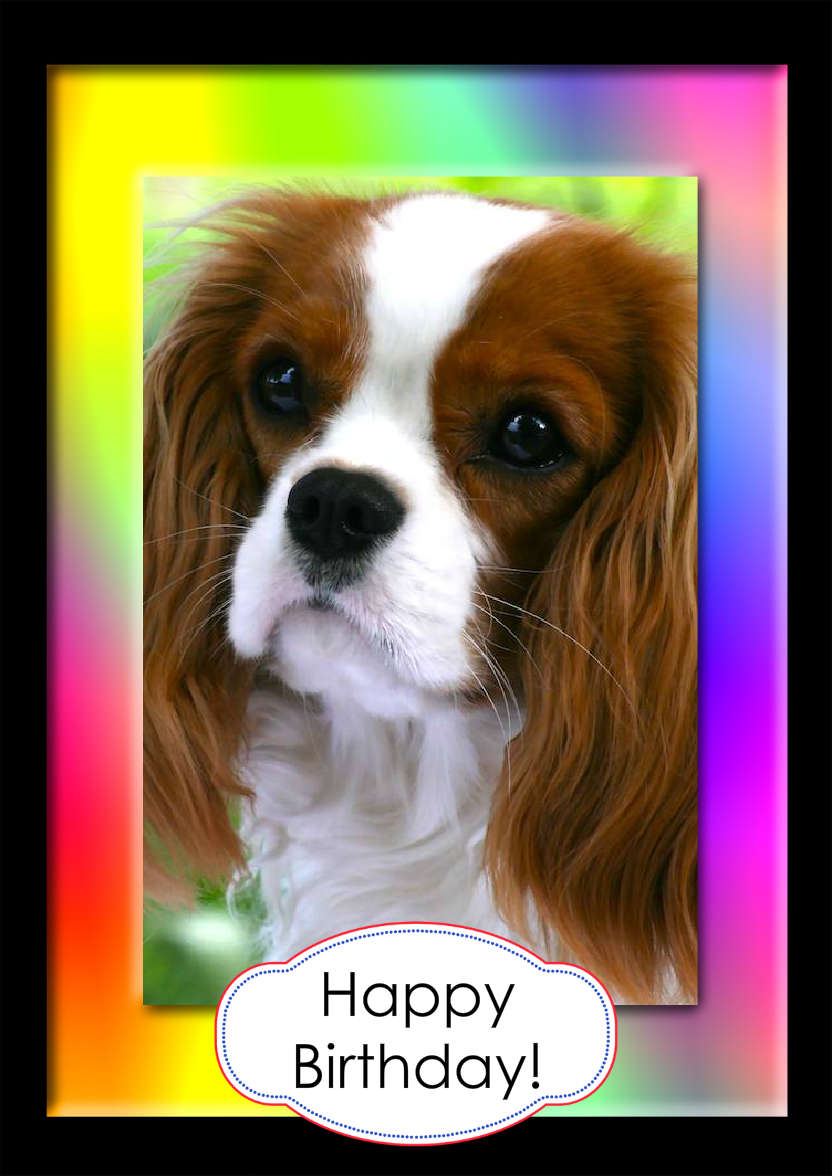 Bright Rainbow Frame Aperture Card - card made with Crafty Bob's Card Creator