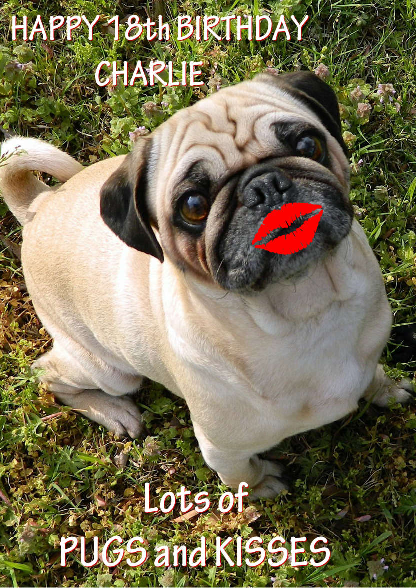 Pugs and Kisses Cute Card Front - card made with Crafty Bob's Card Creator