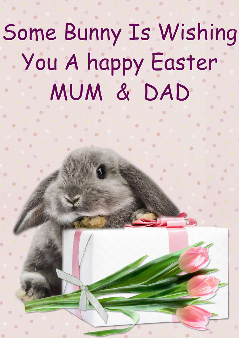 Some Bunny Birthday - card made with Crafty Bob's Card Creator