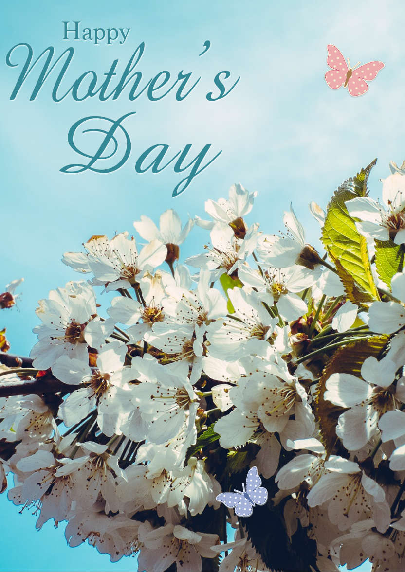Mother's Day Cherry Blossom - card made with Crafty Bob's Card Creator