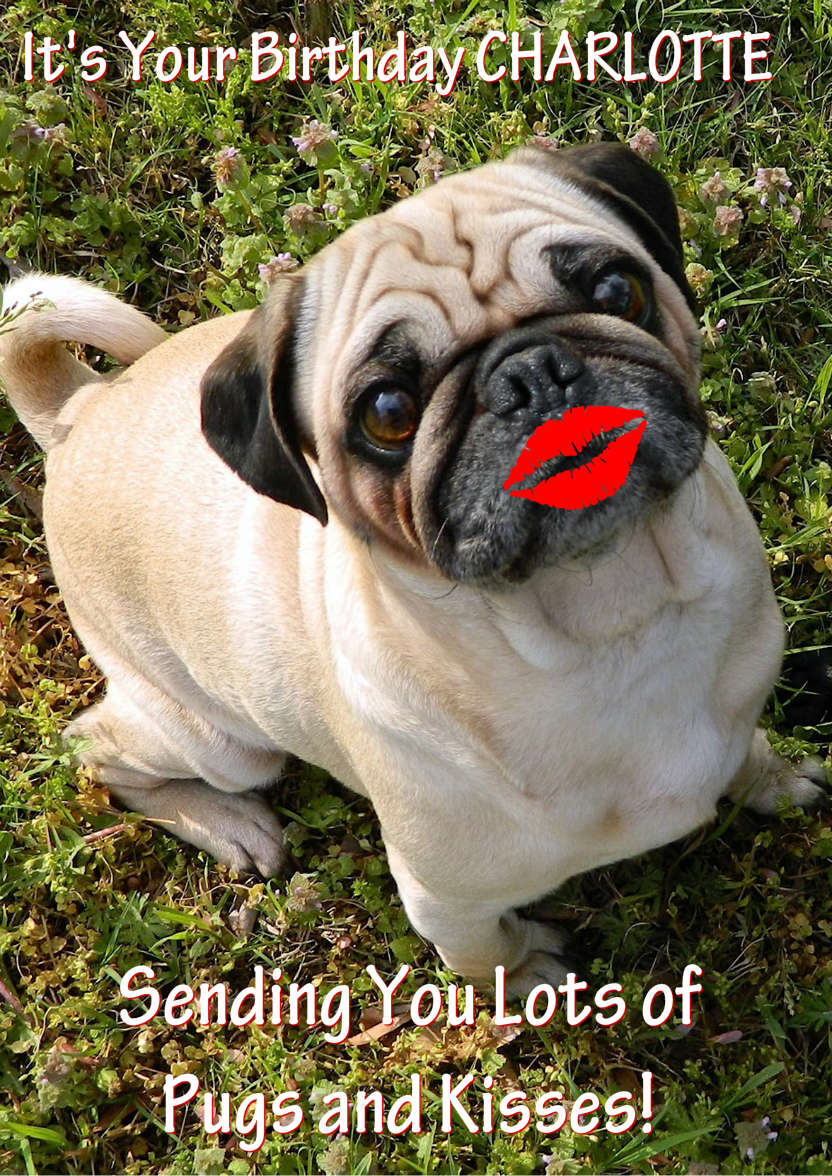 Pugs and Kisses Cute Card Front - card made with Crafty Bob's Card Creator