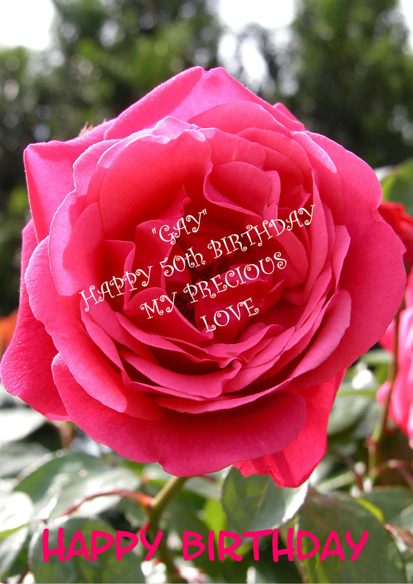 Rose Etude - card made with Crafty Bob's Card Creator