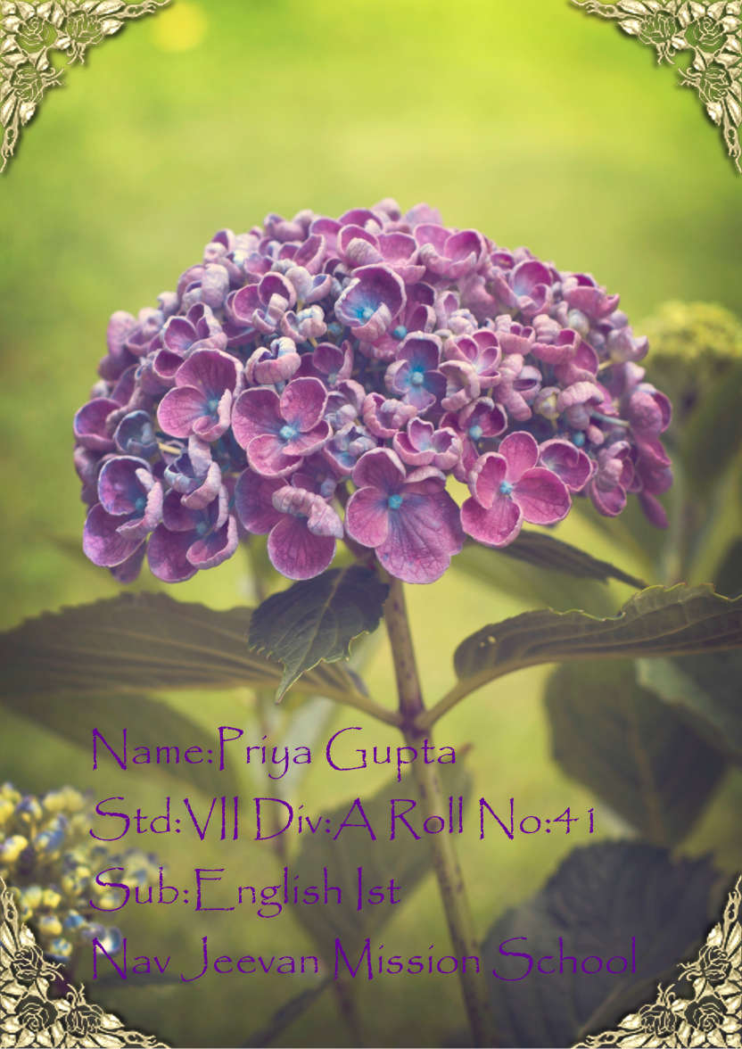 Lilac Hydrangea - card made with Crafty Bob's Card Creator