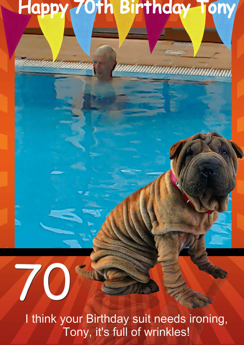 Fun Happy Wrinkly Shar Pei Dog, Photo Card - card made with Crafty Bob's Card Creator