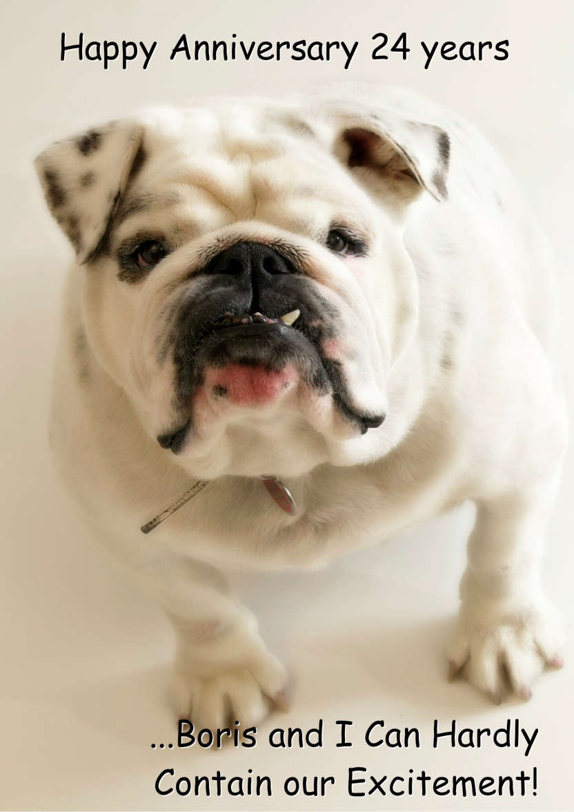 Excited Bulldog Card Front - card made with Crafty Bob's Card Creator