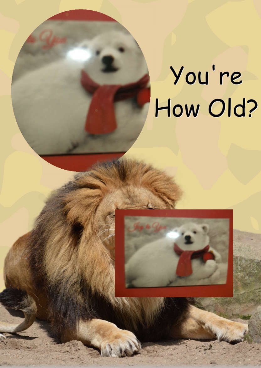 Laughing Lion Photo Card - card made with Crafty Bob's Card Creator