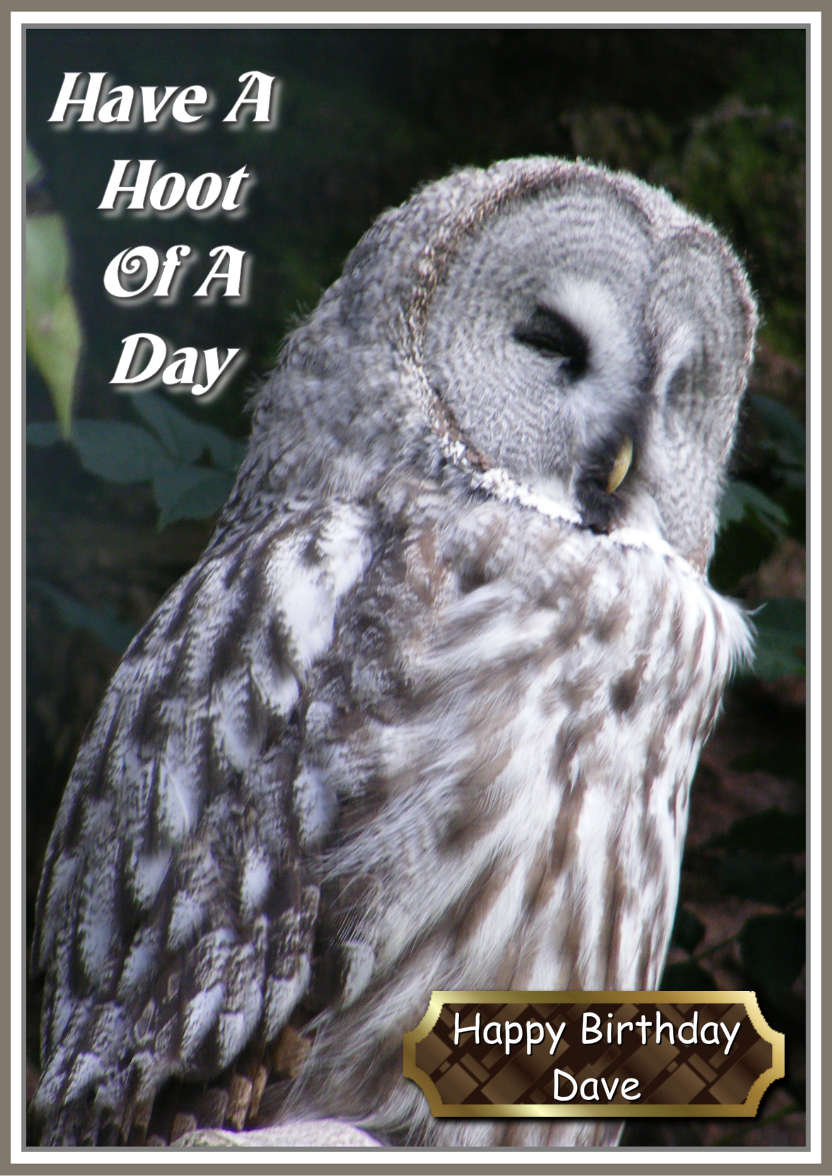 Have a Hoot of a Day - card made with Crafty Bob's Card Creator
