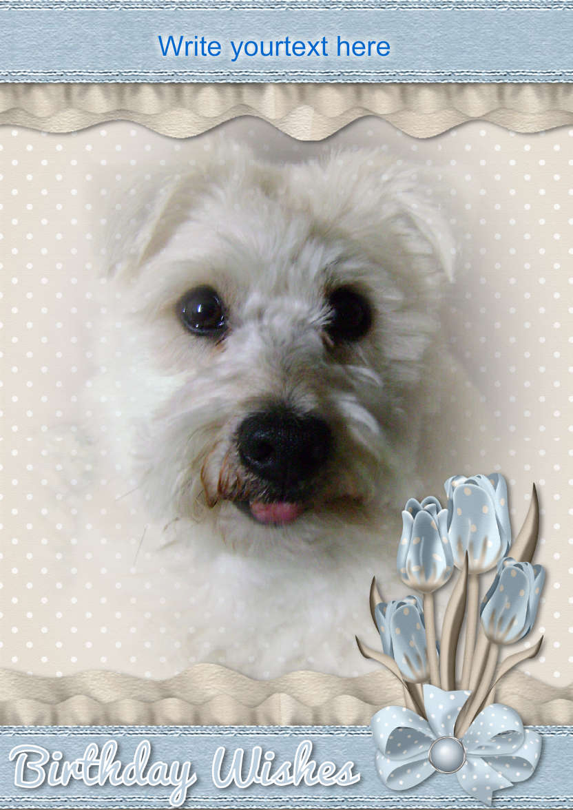 Birthday Picture - card made with Crafty Bob's Card Creator