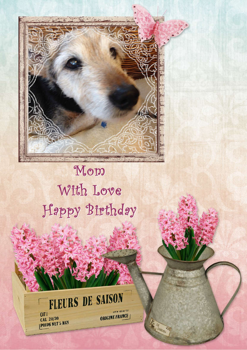 A Little Bit Shabby - card made with Crafty Bob's Card Creator