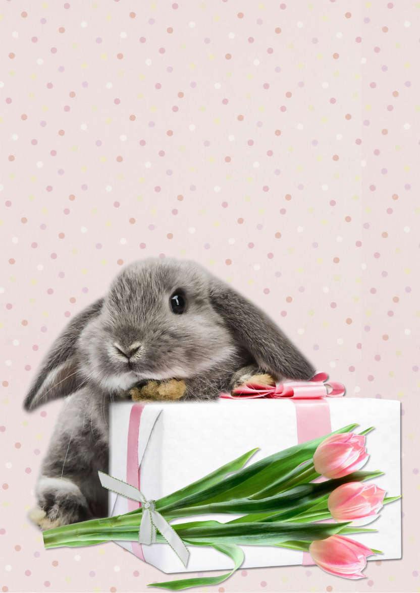 Some Bunny Birthday - card made with Crafty Bob's Card Creator