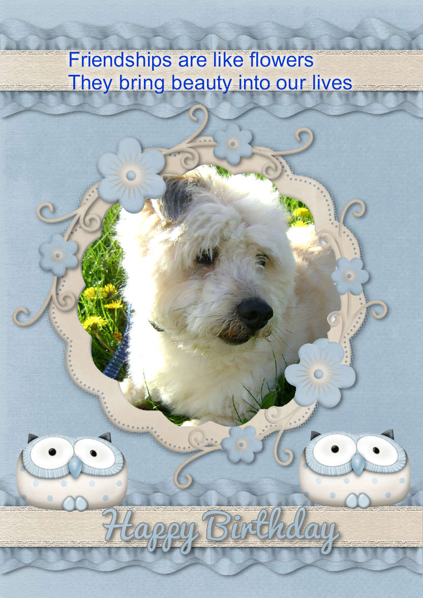 Cool Blue Birthday - card made with Crafty Bob's Card Creator
