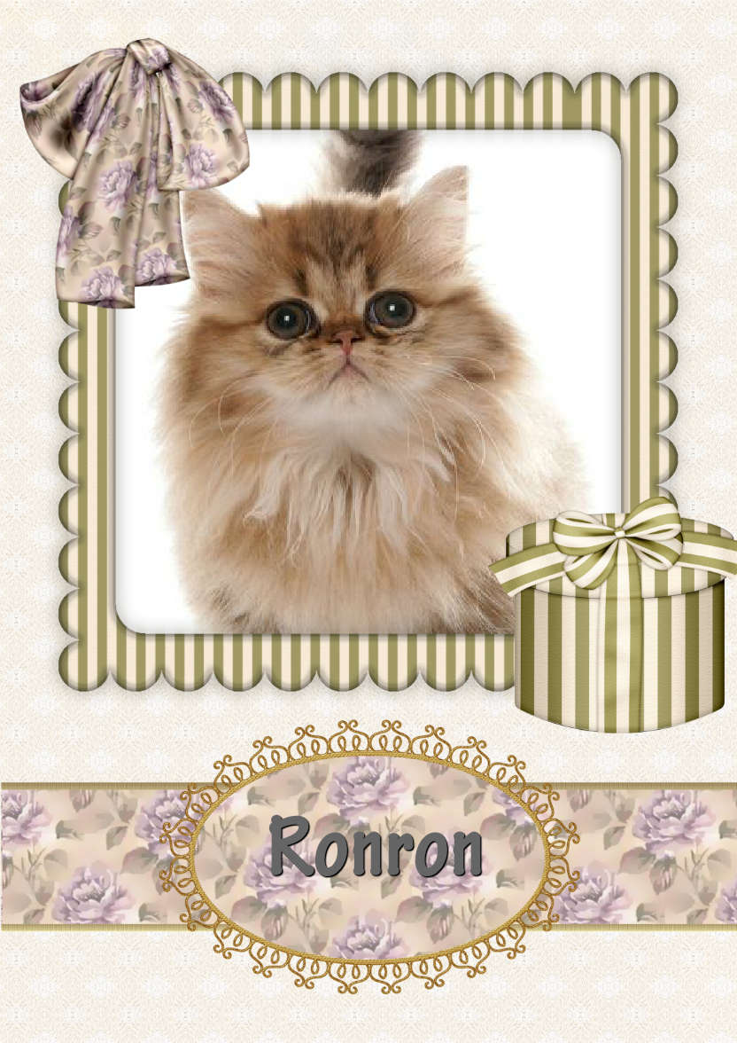 Vintage Green - card made with Crafty Bob's Card Creator