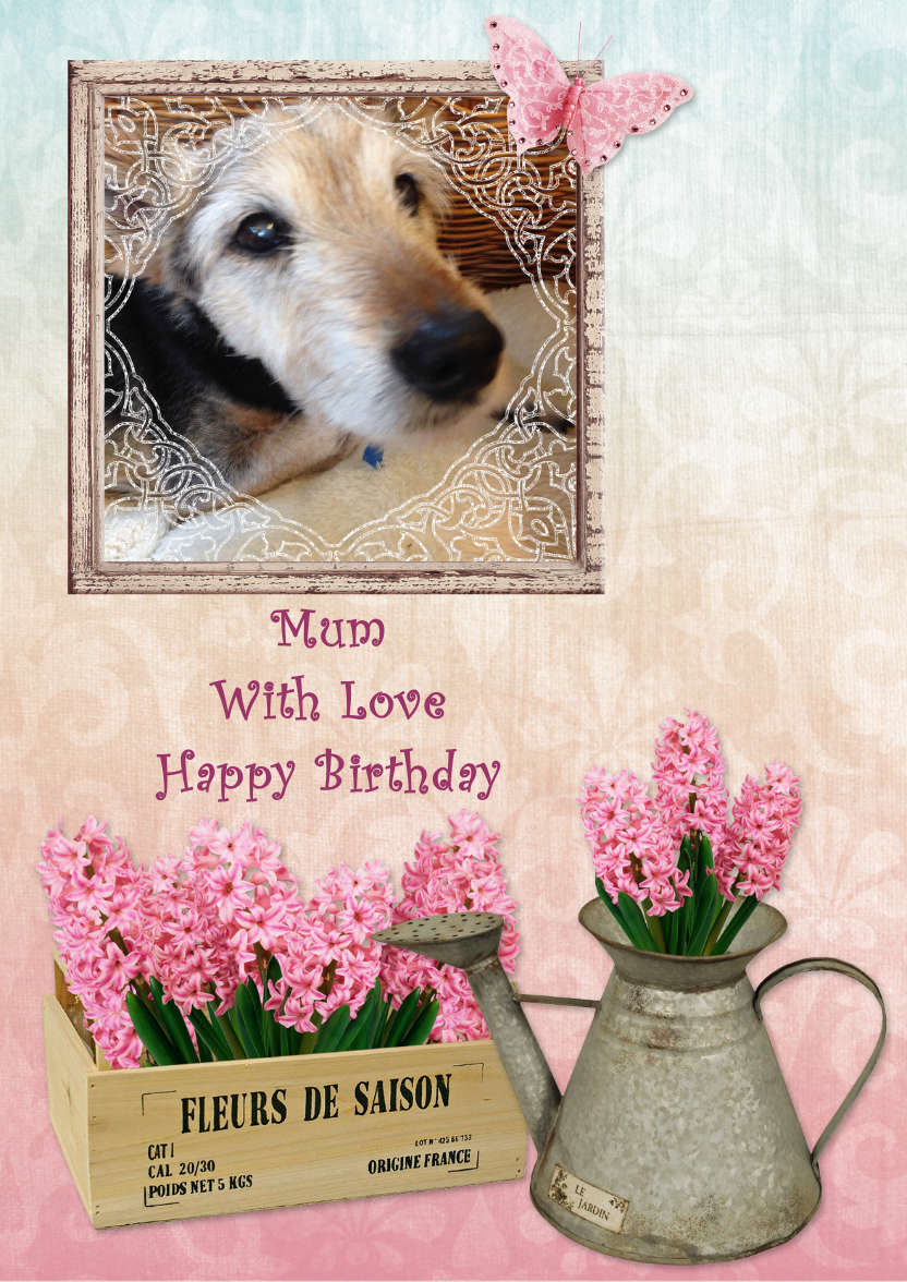 A Little Bit Shabby - card made with Crafty Bob's Card Creator