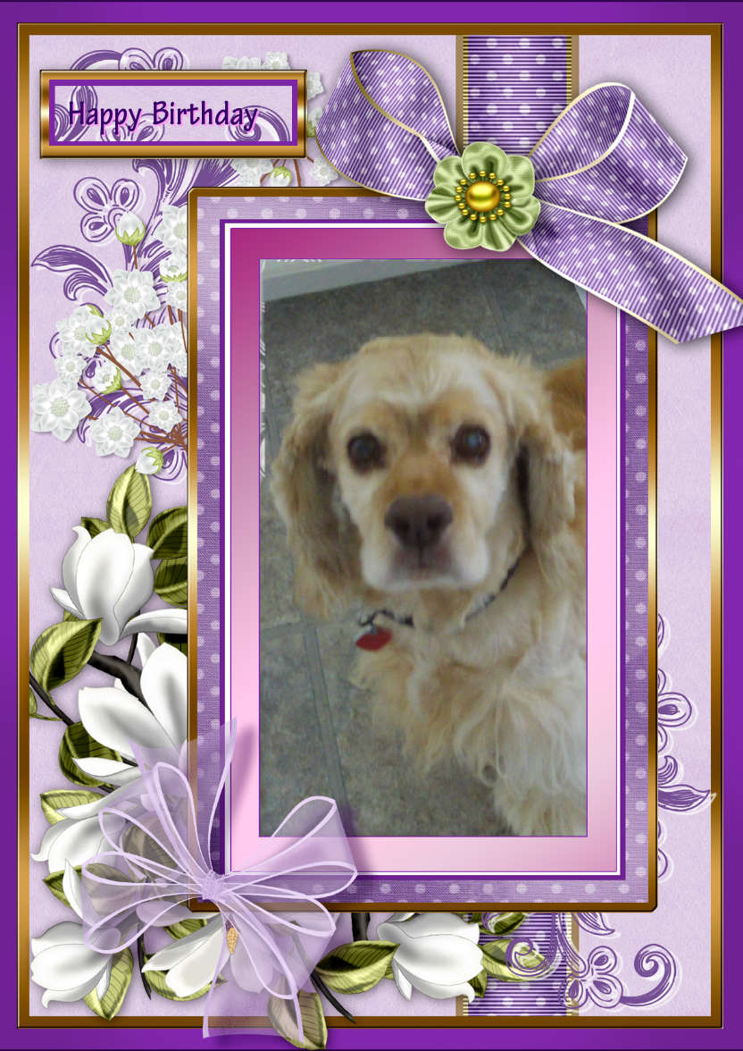 Pretty Floral Frame Topper - card made with Crafty Bob's Card Creator