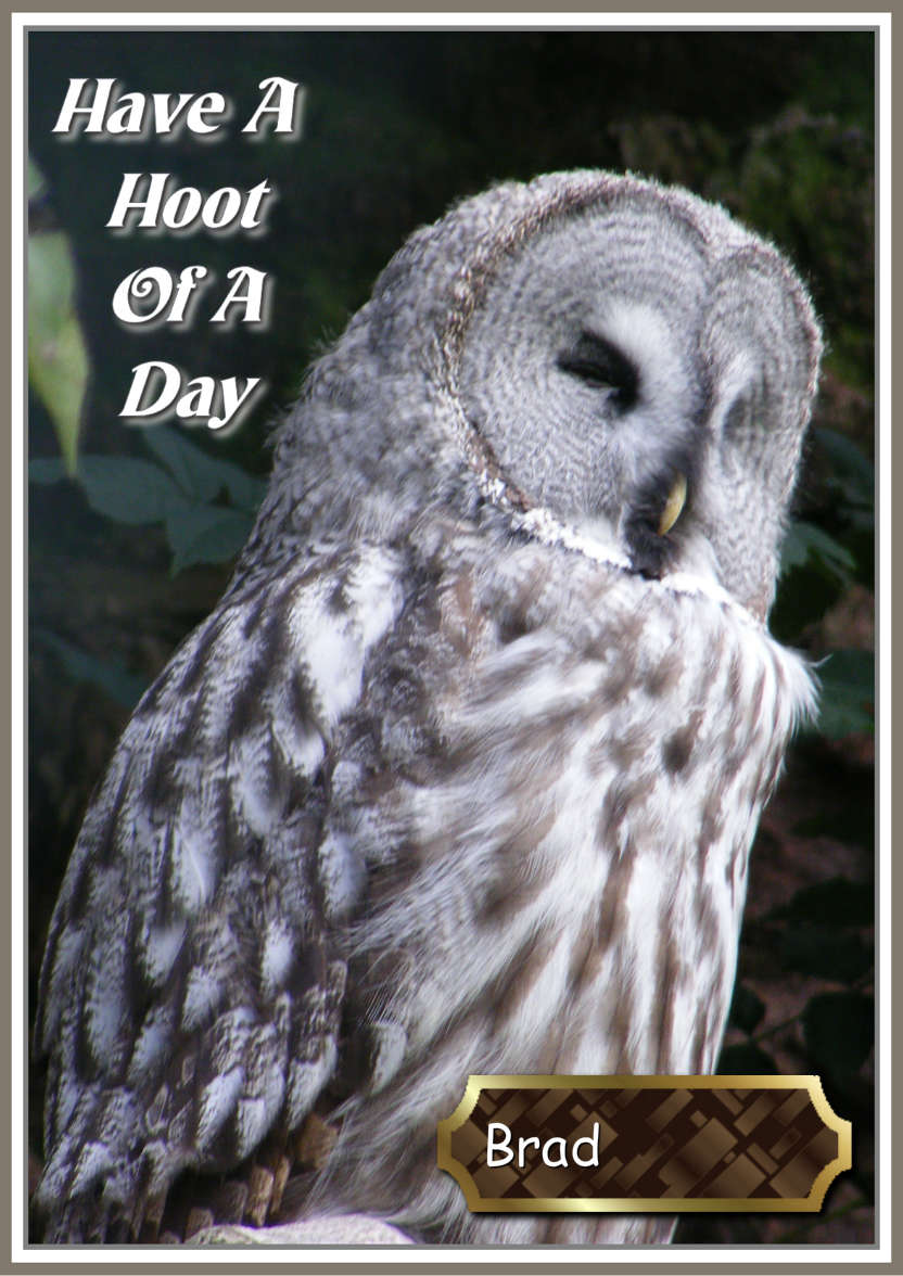 Have a Hoot of a Day - card made with Crafty Bob's Card Creator