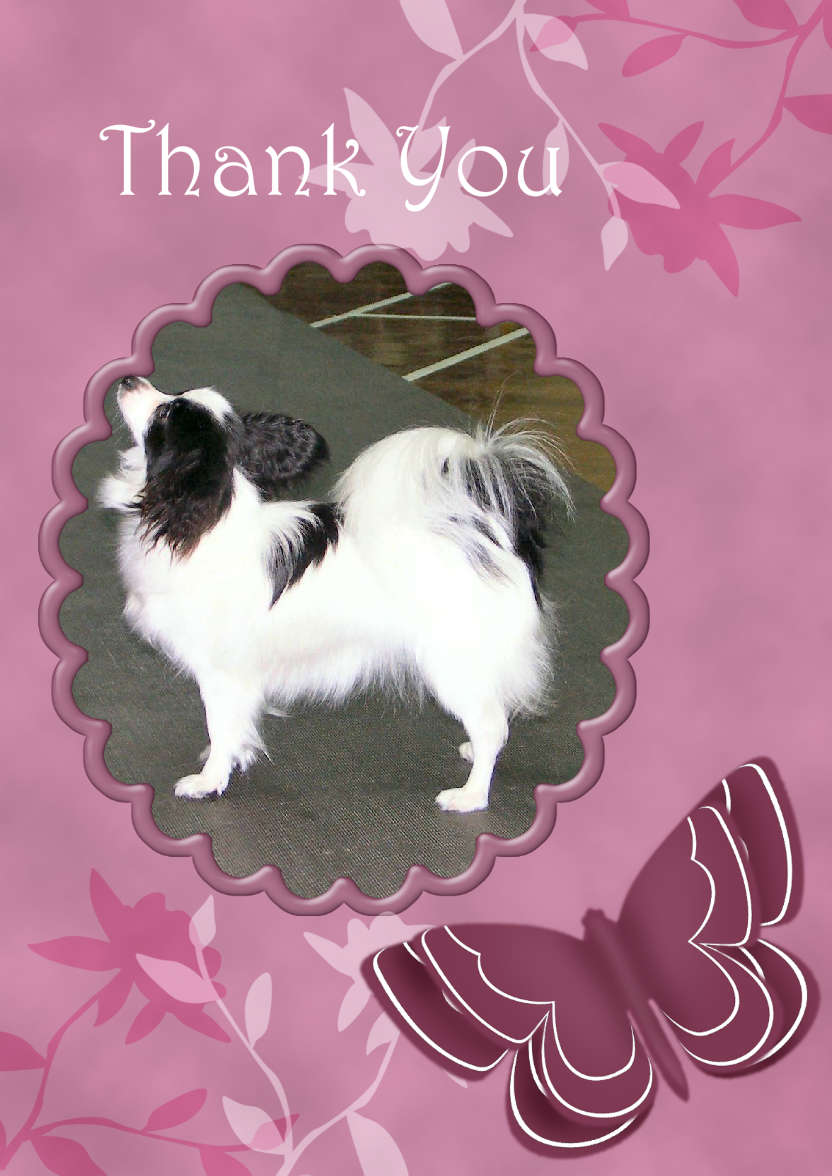 Thank You - Butterfly and Flowers - card made with Crafty Bob's Card Creator