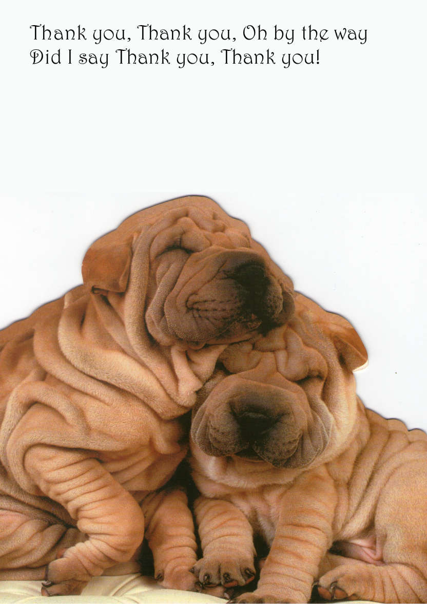 Chinese Shar-pei Cuddle Card - card made with Crafty Bob's Card Creator