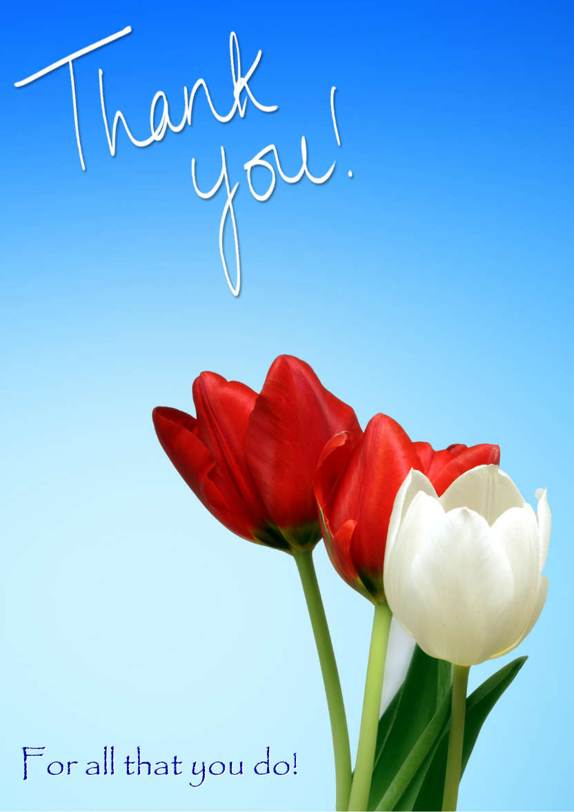 Thank You Tulips Card Front - card made with Crafty Bob's Card Creator