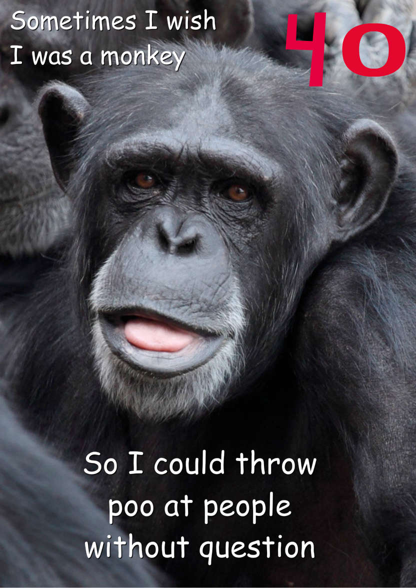 Cheeky Monkey Humorous Card Front - card made with Crafty Bob's Card Creator