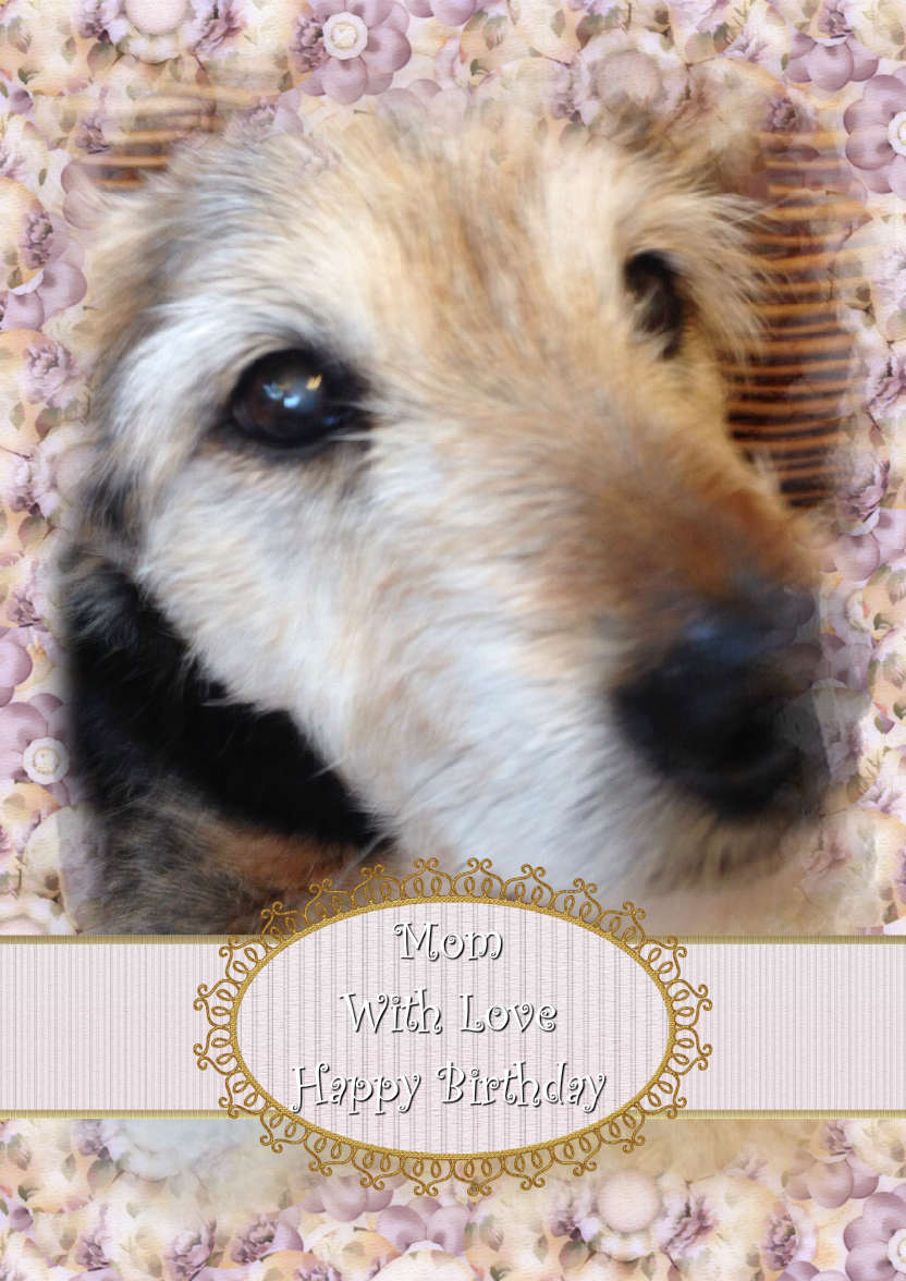 Portaits - card made with Crafty Bob's Card Creator